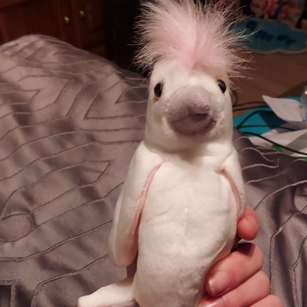 Kuku beanie baby